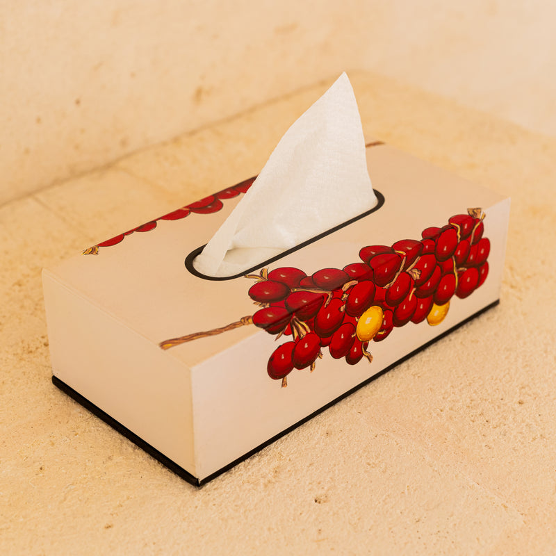 Tomatoes Hand painted tissue box
