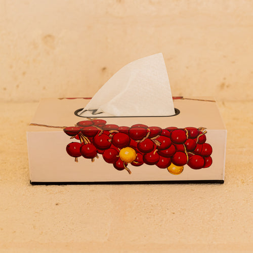 Tomatoes Hand painted tissue box
